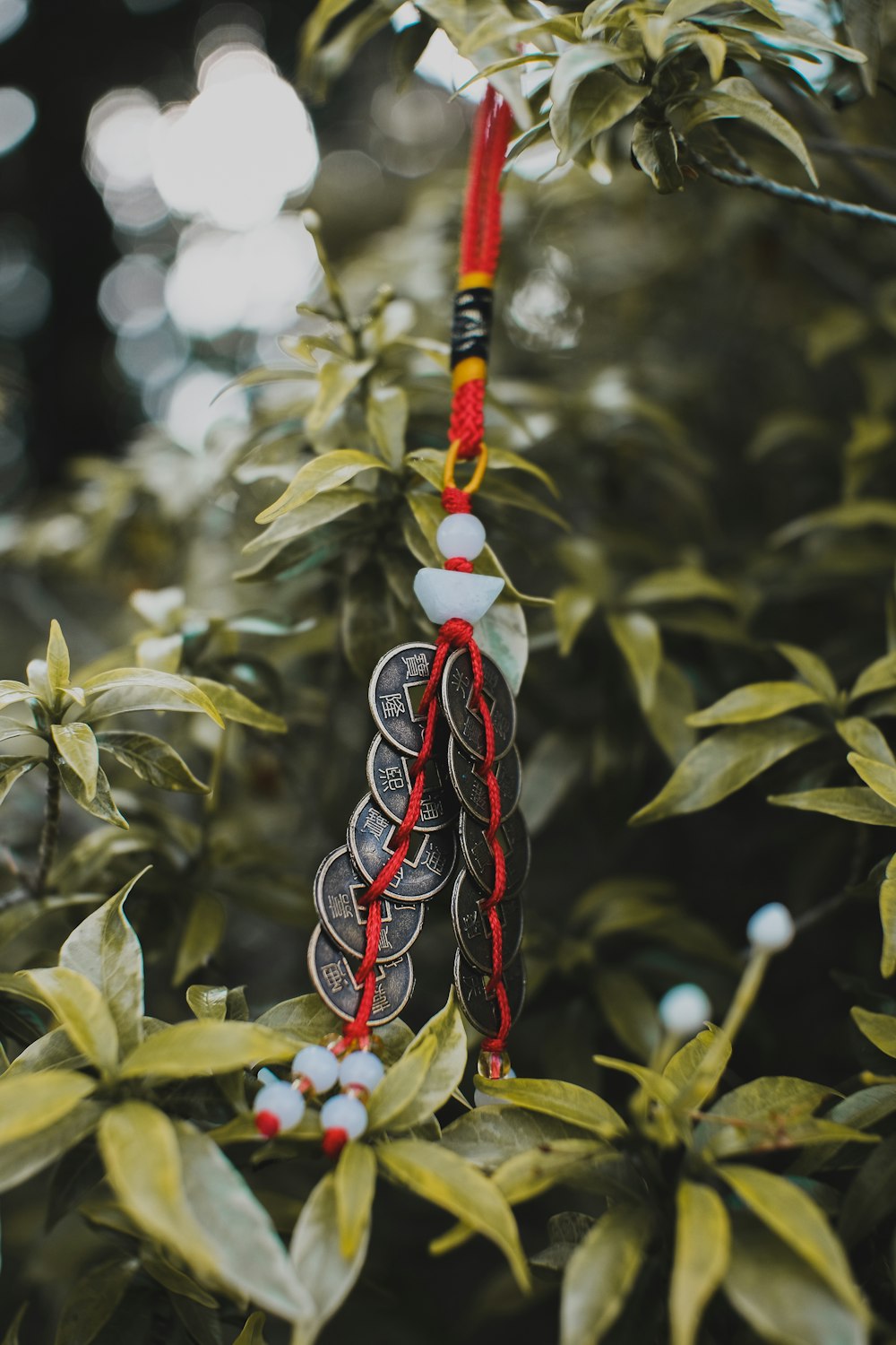 a red string hanging from a tree filled with coins
