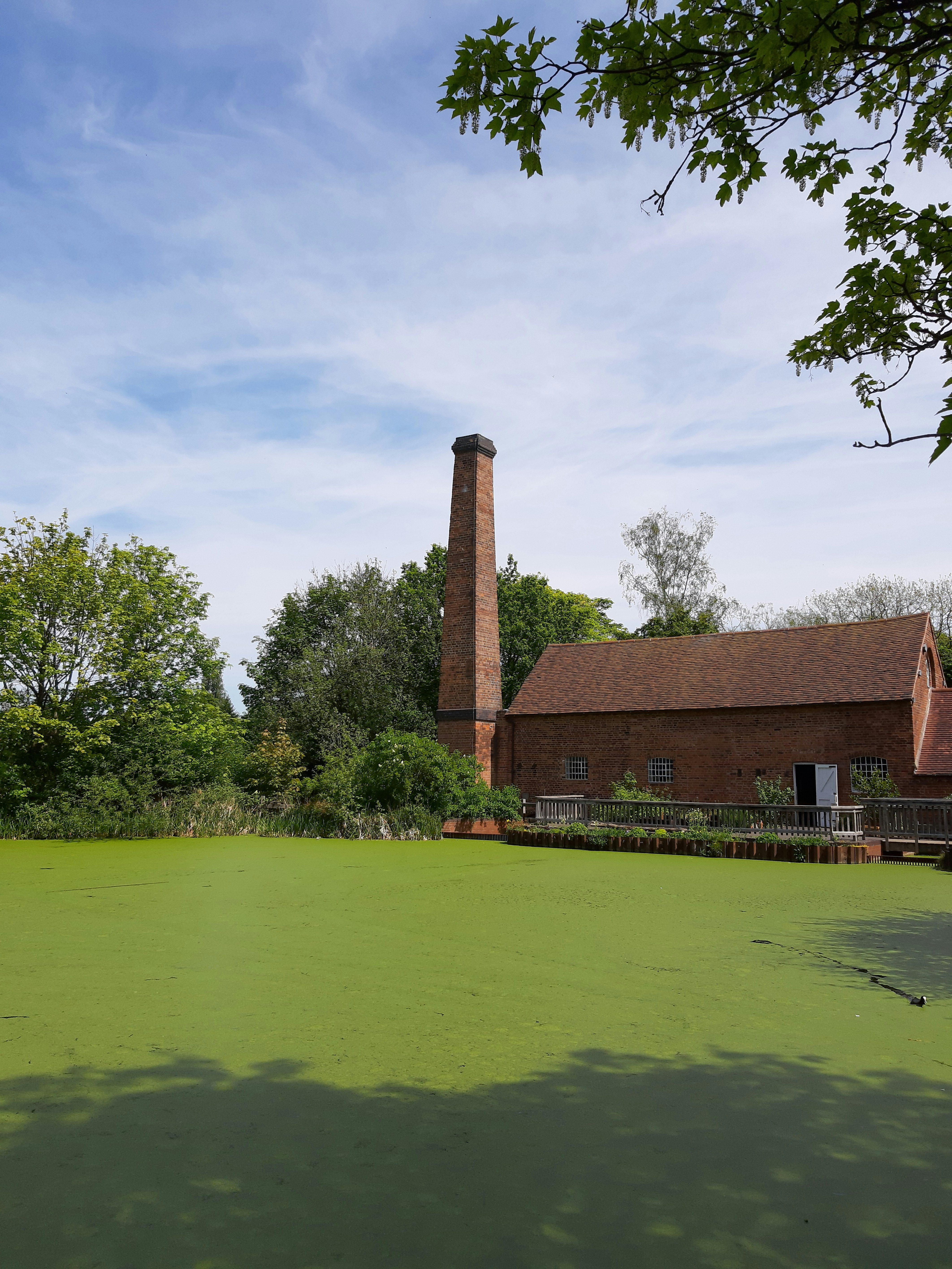 Sarehole Mill pond, Birmingham