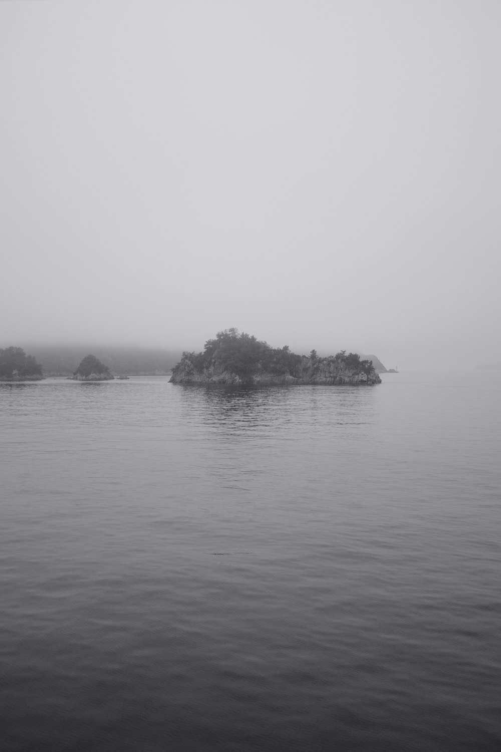 foggy green island scenery