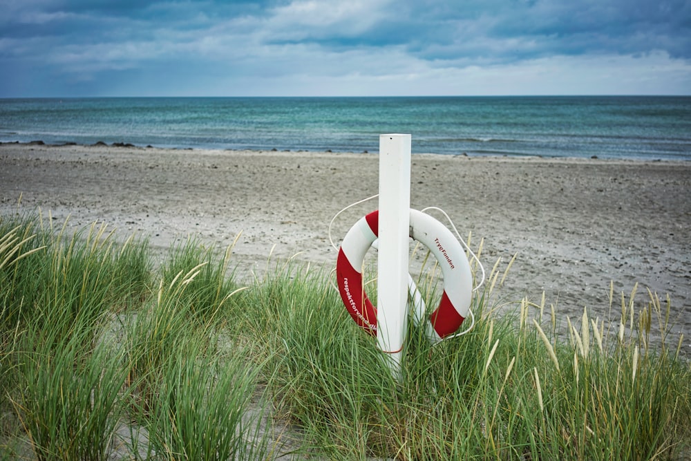 life saver hung on post on shore during day