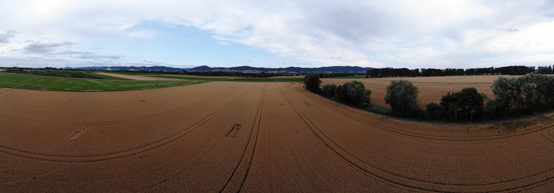 panoramic photography of an open field during daytime