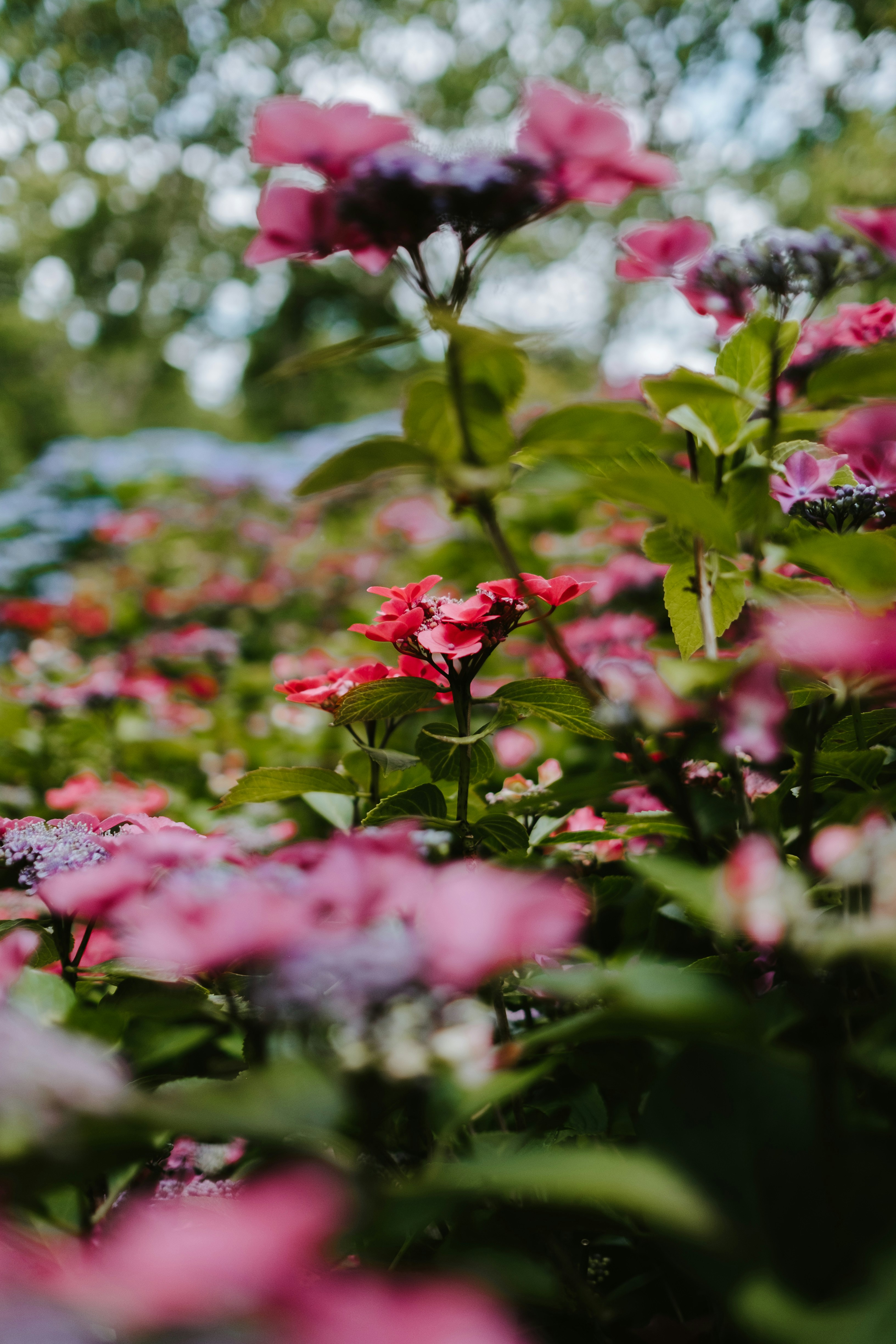 Photo by anniespratt