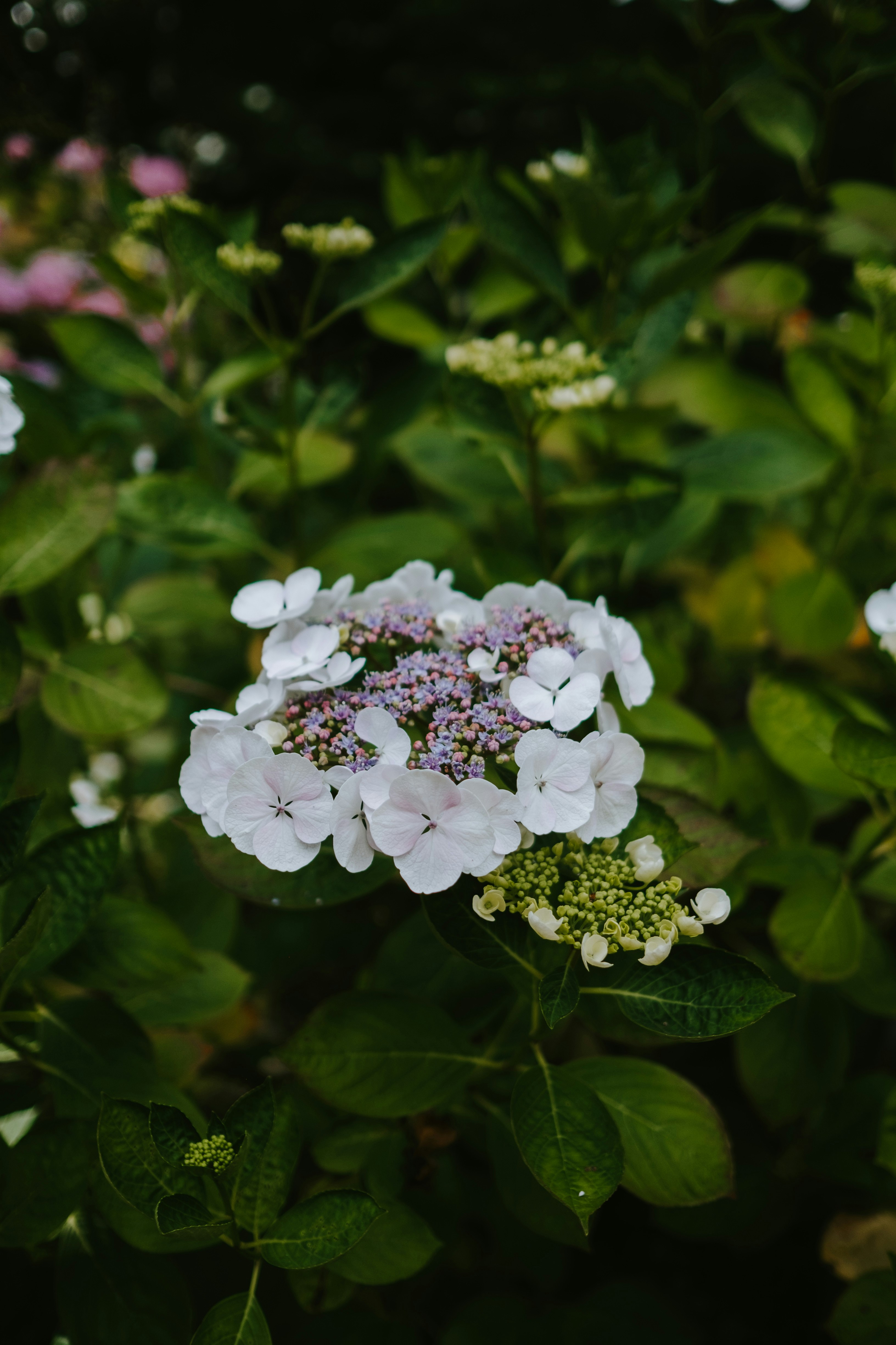 Photo by anniespratt