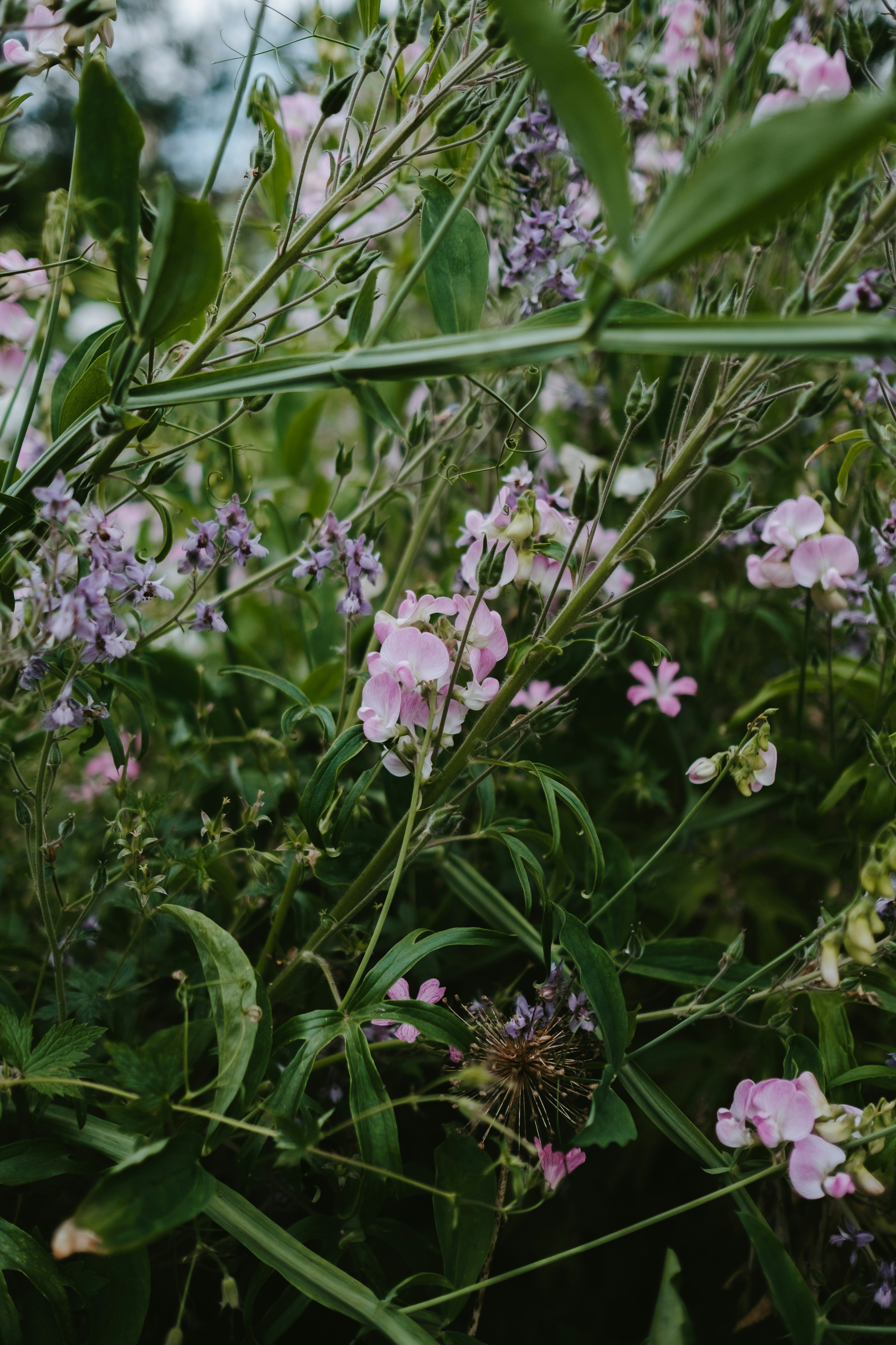 Photo by anniespratt