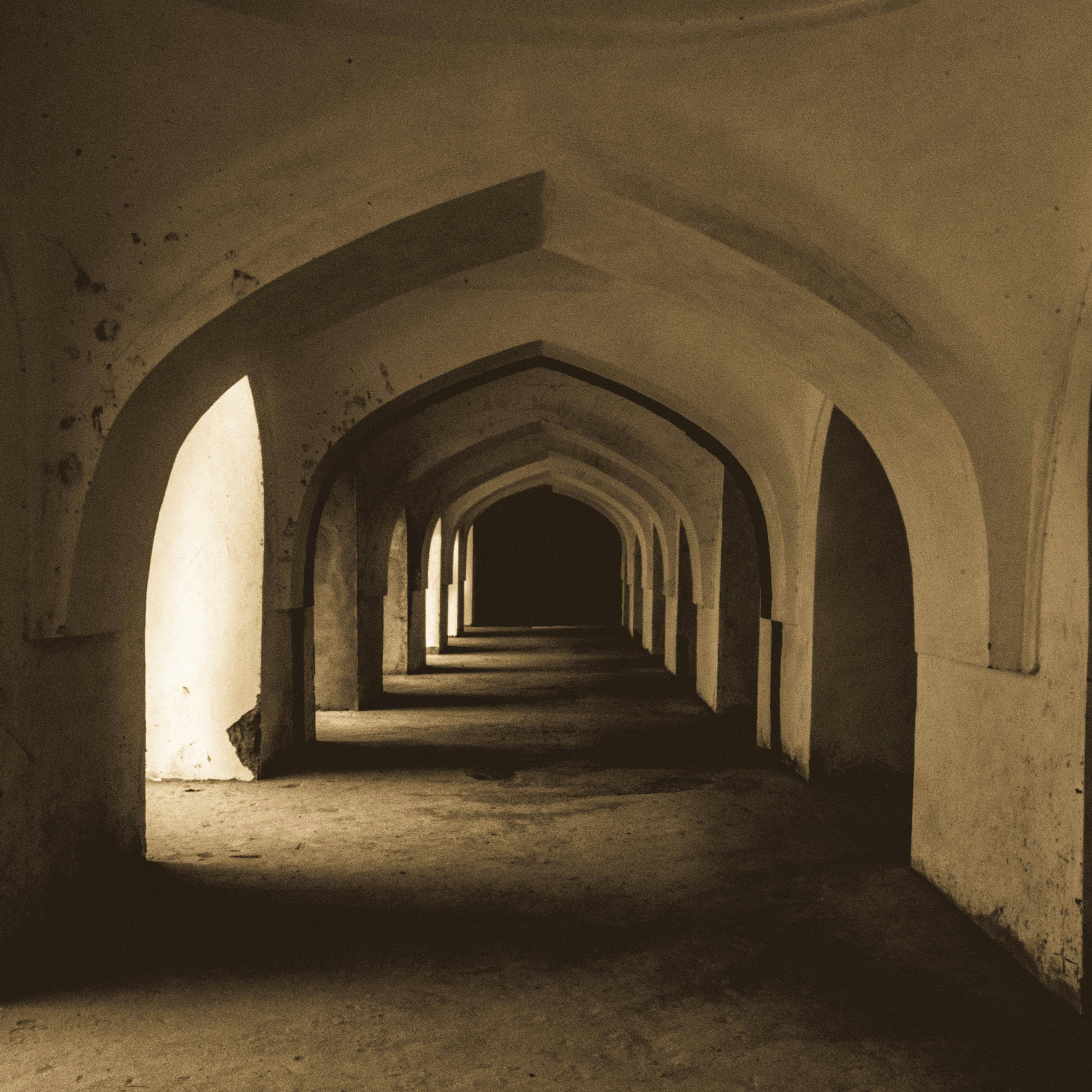 Photo by tnmycaptures