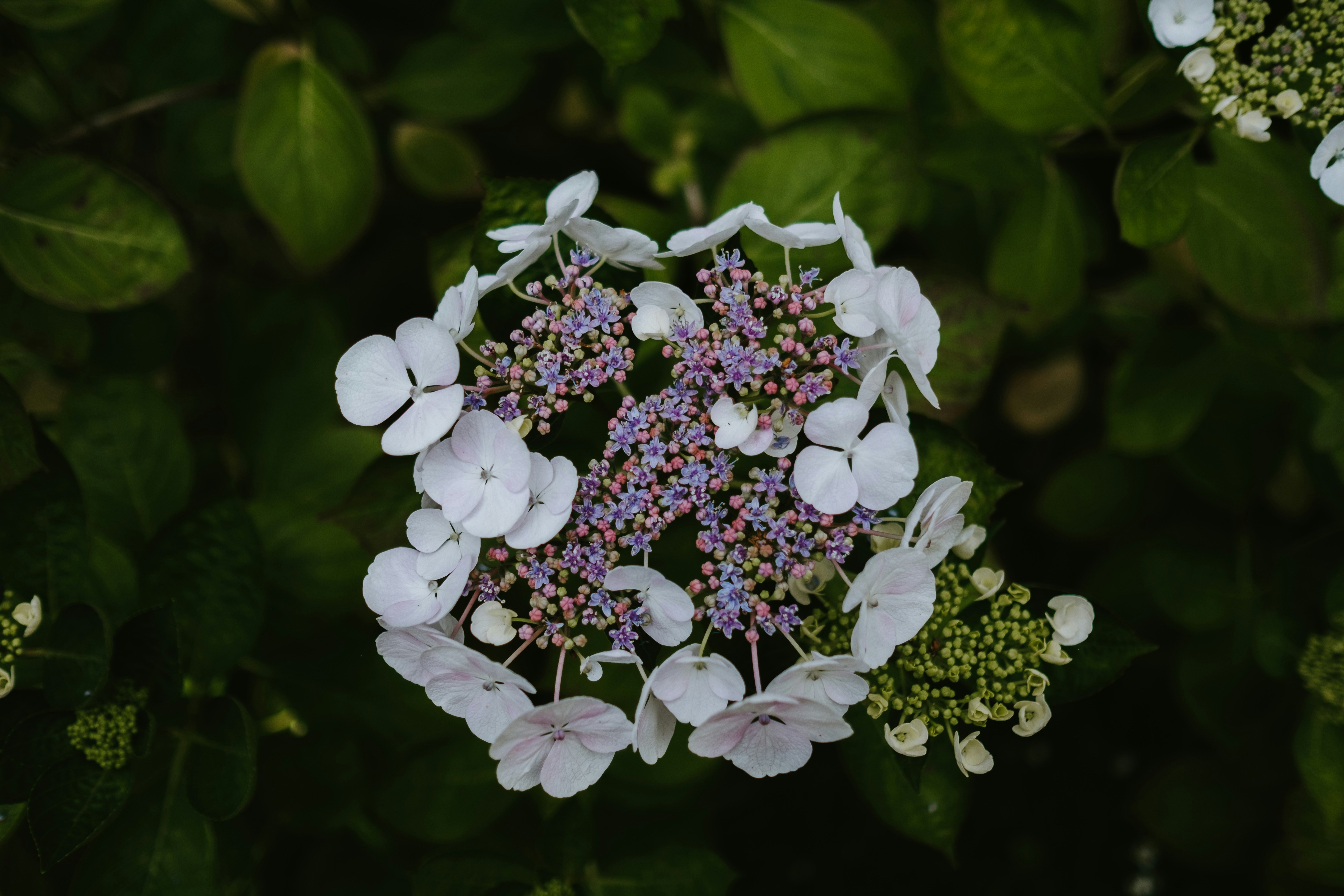 Photo by anniespratt