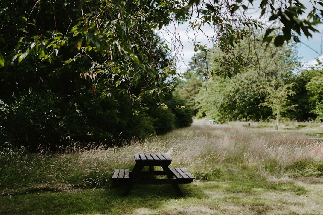 brown picnic bench