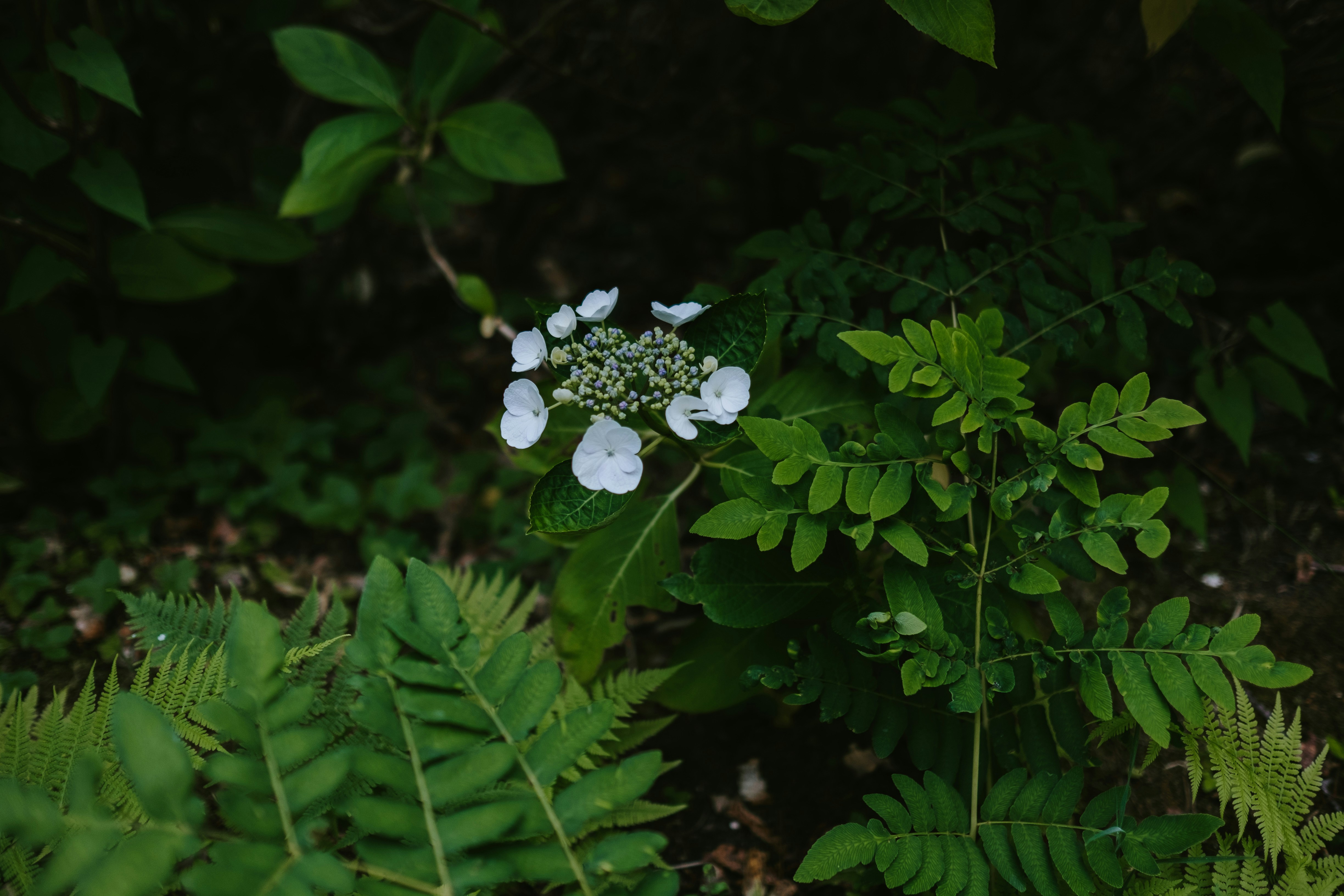 Photo by anniespratt