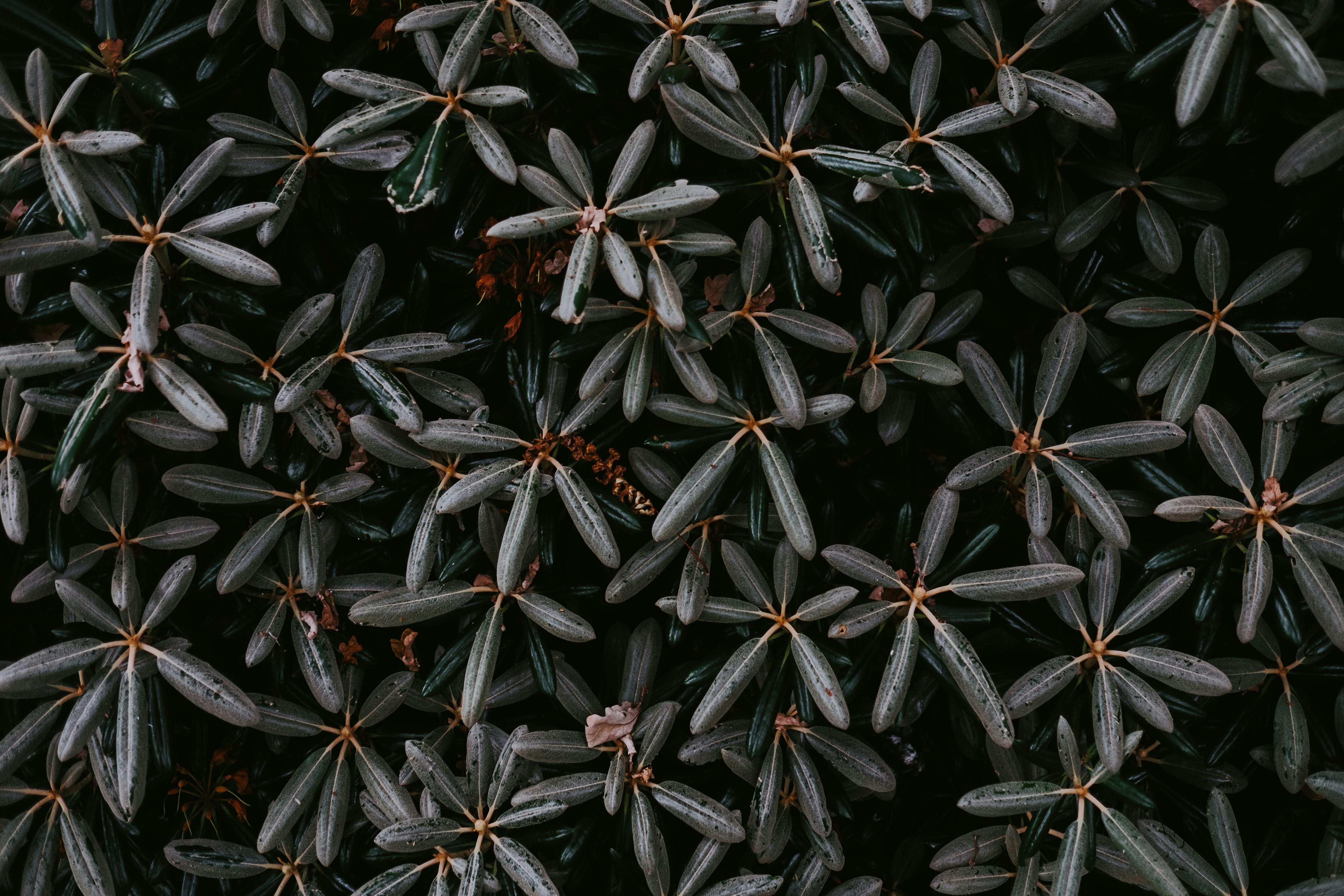 Photo by anniespratt