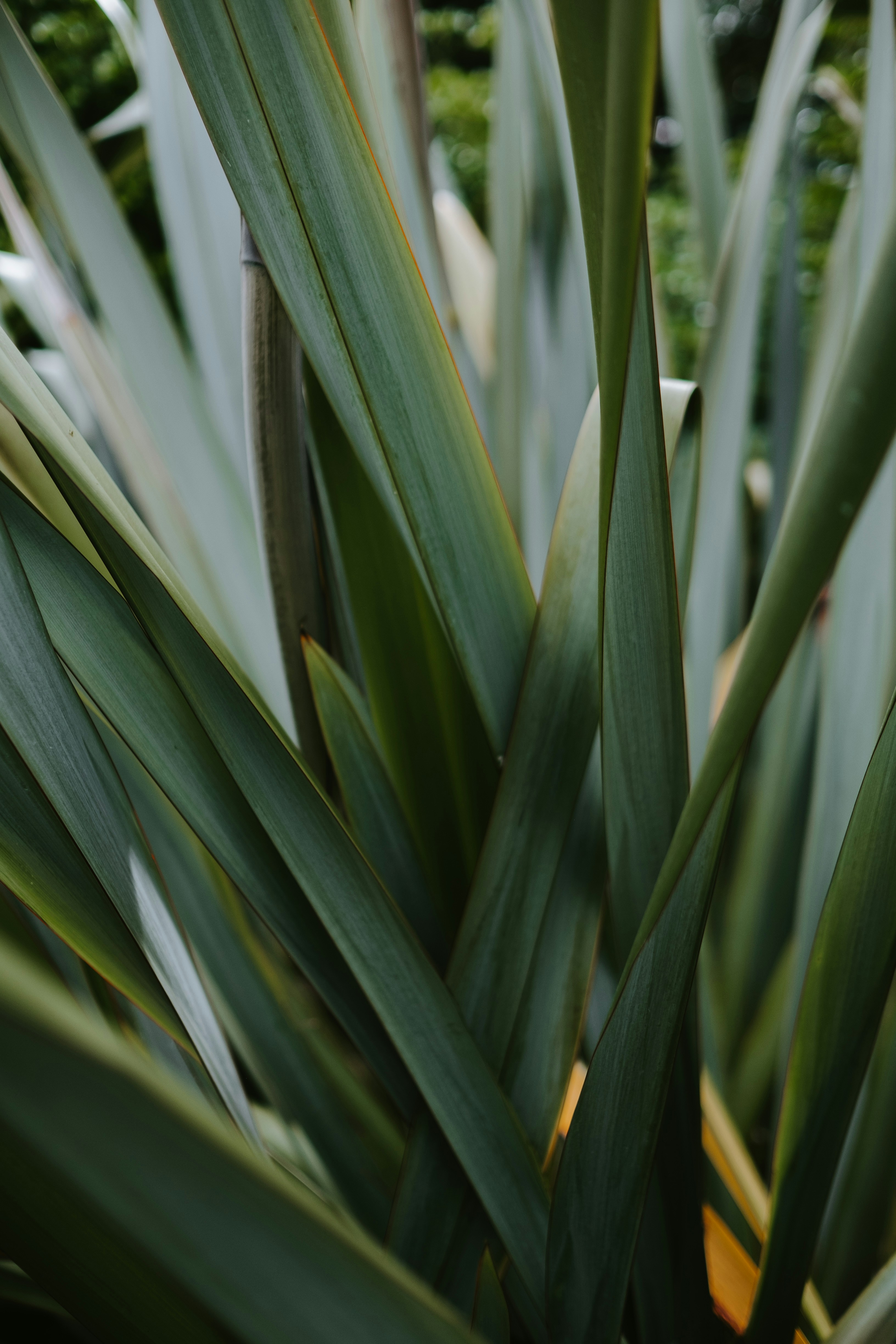 Photo by anniespratt