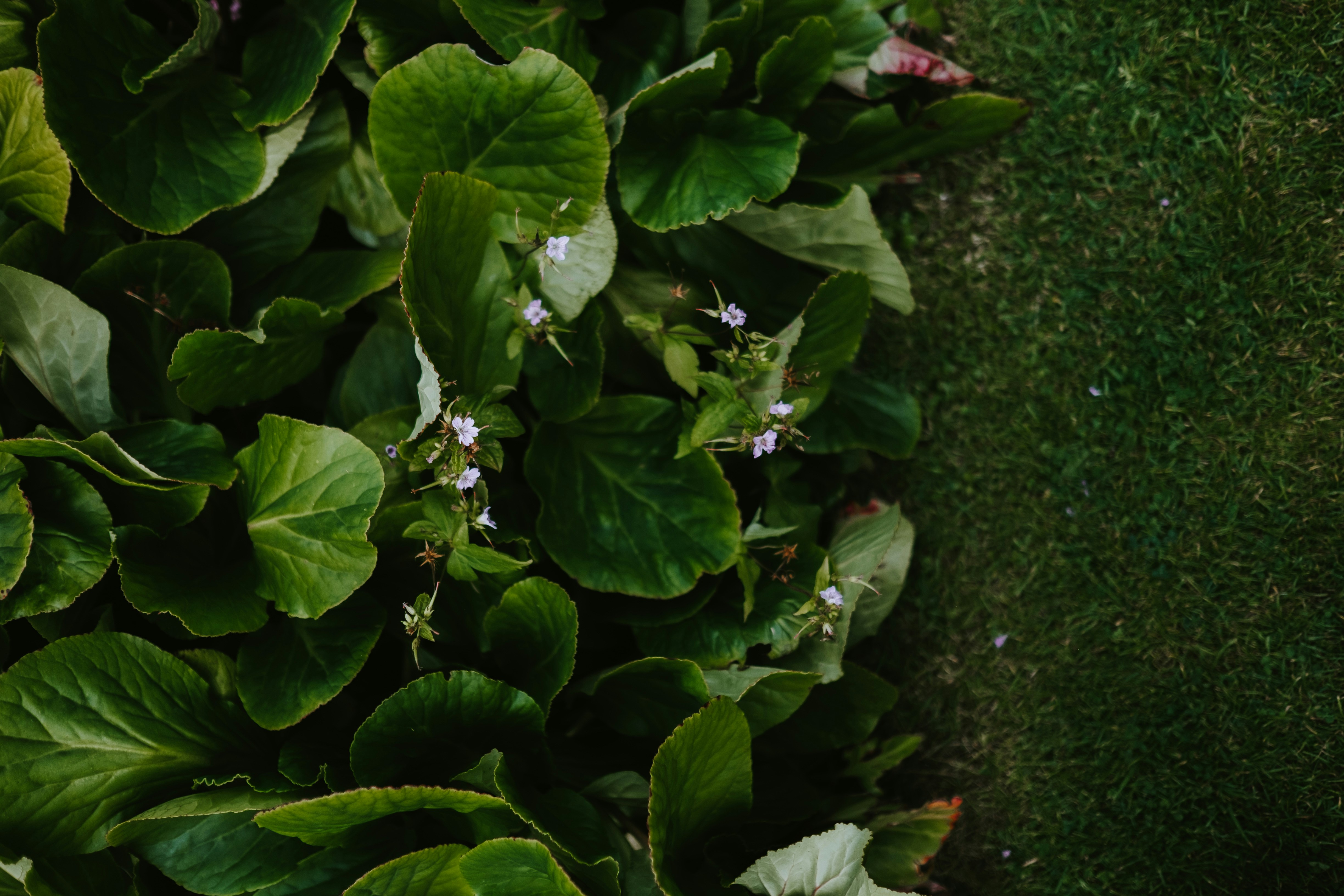 Photo by anniespratt