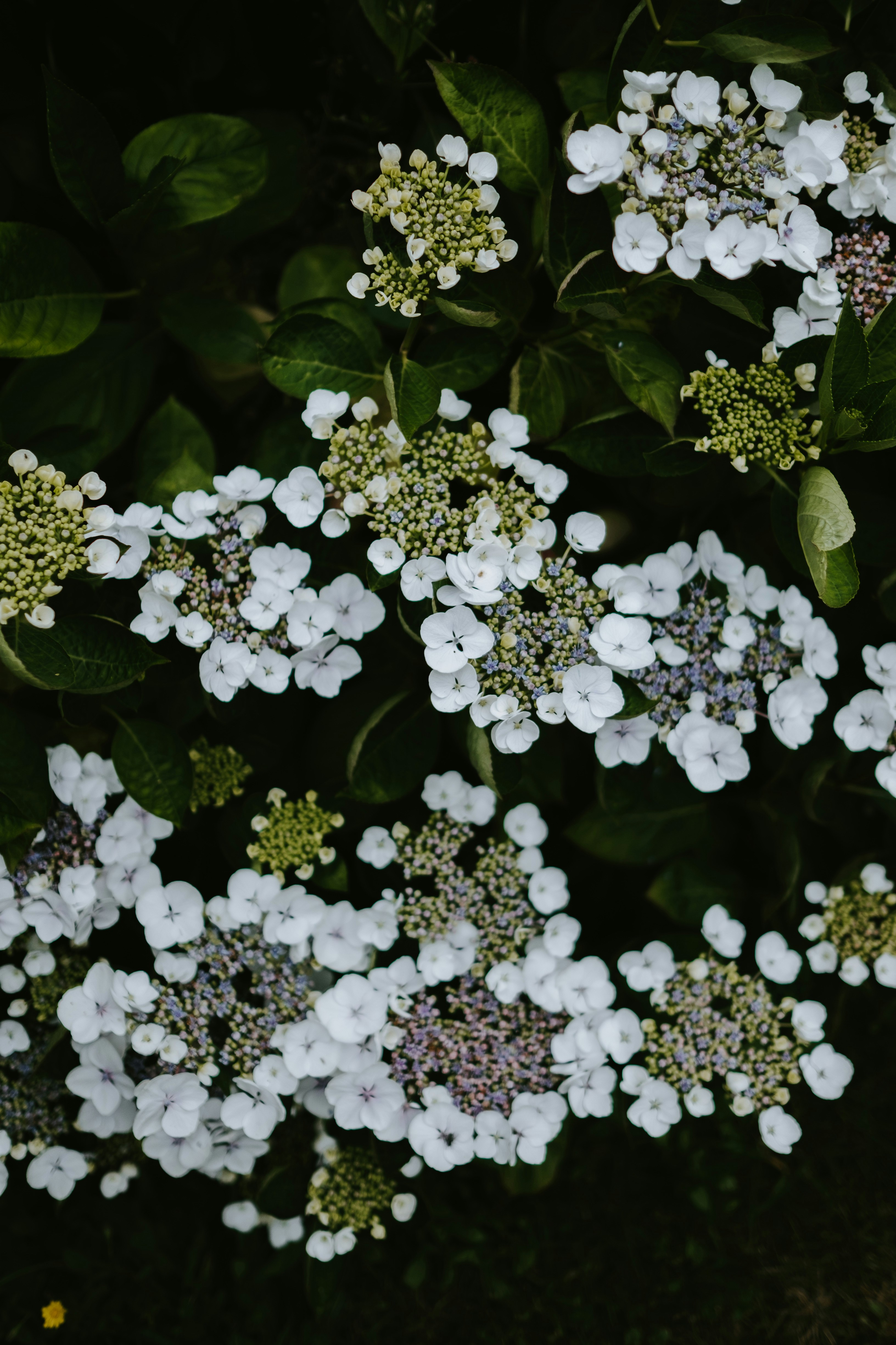 Photo by anniespratt