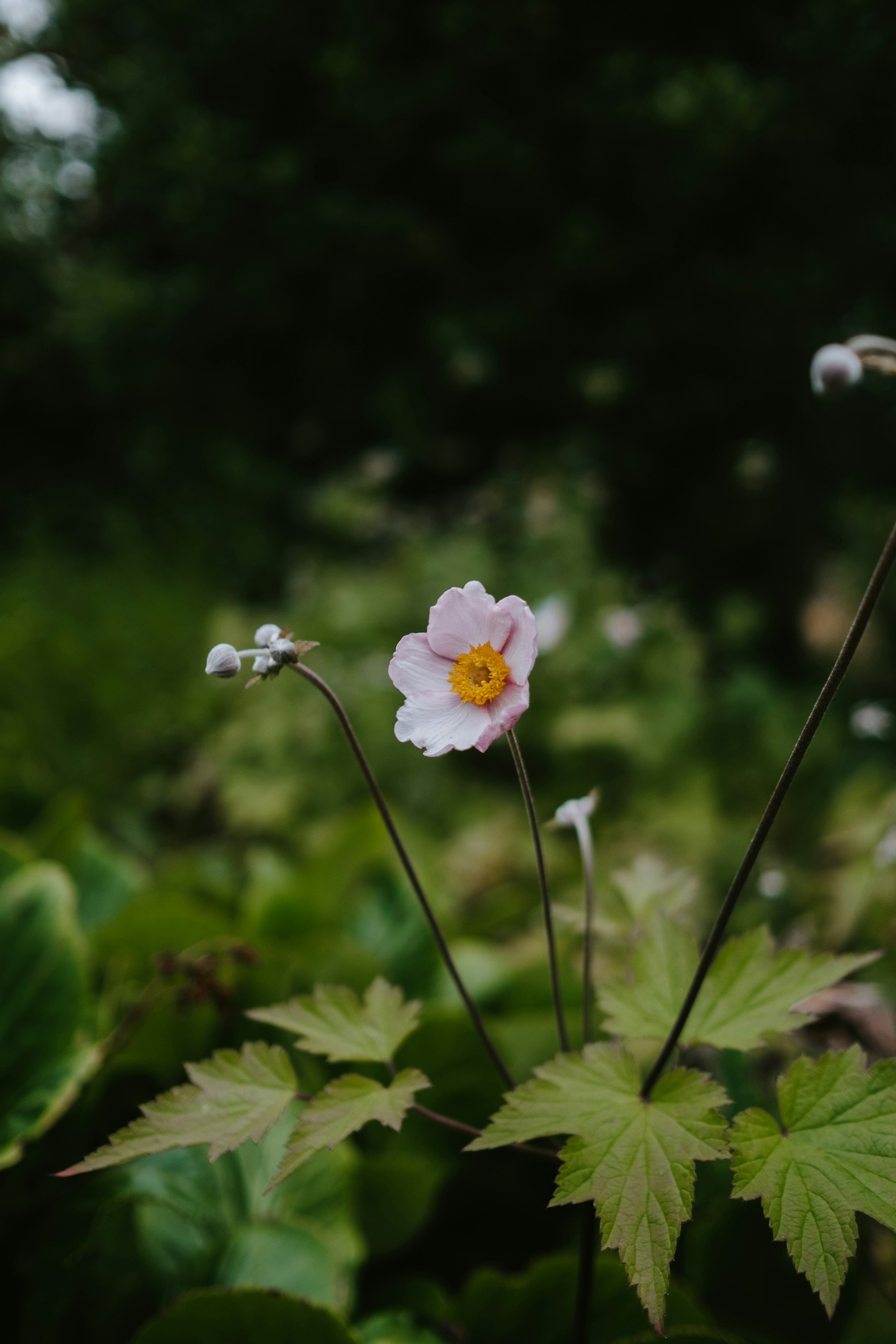 Photo by anniespratt