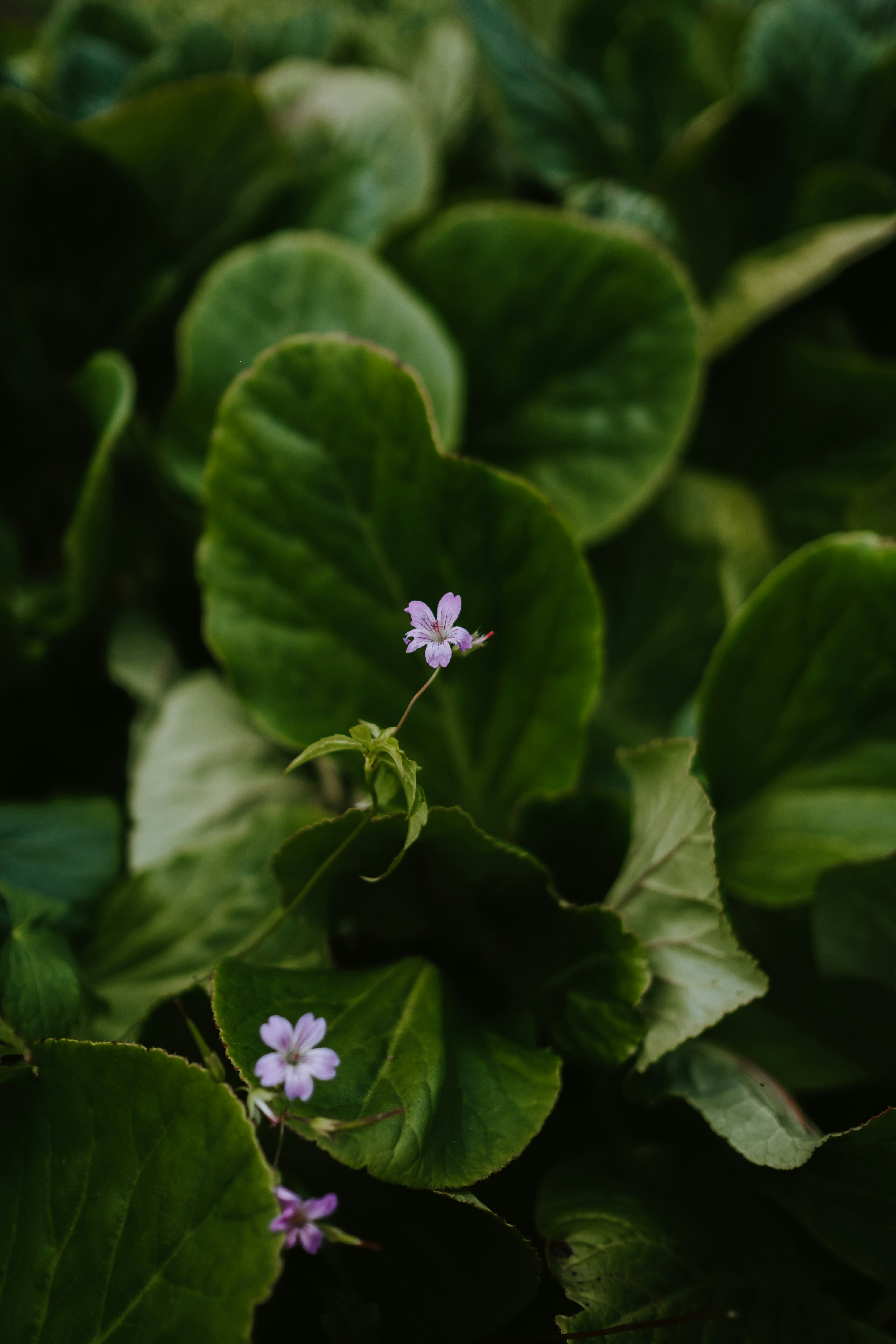 Photo by anniespratt