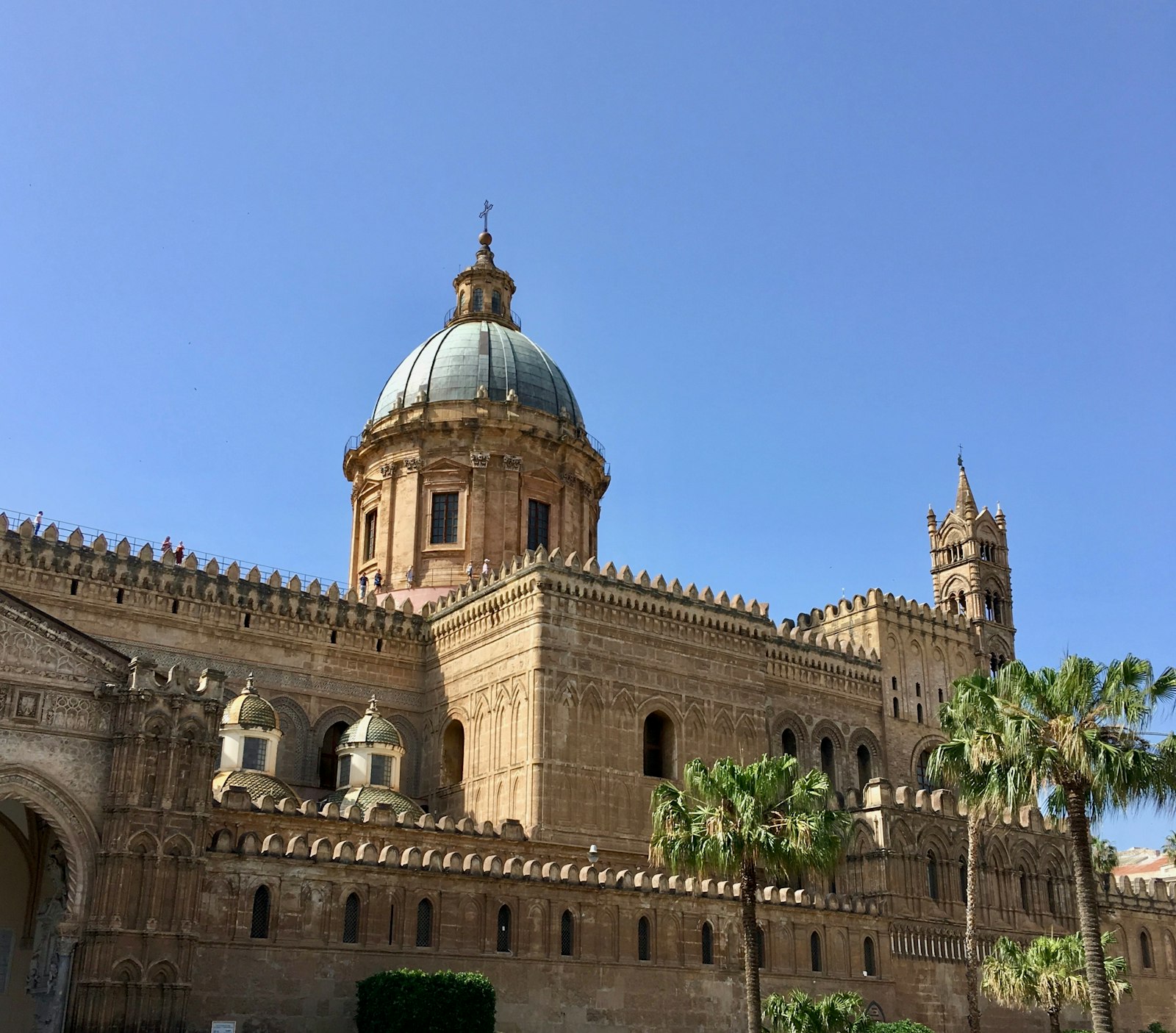 Palermo Cathedral's green dome, crenellated walls and bell tower above palm trees