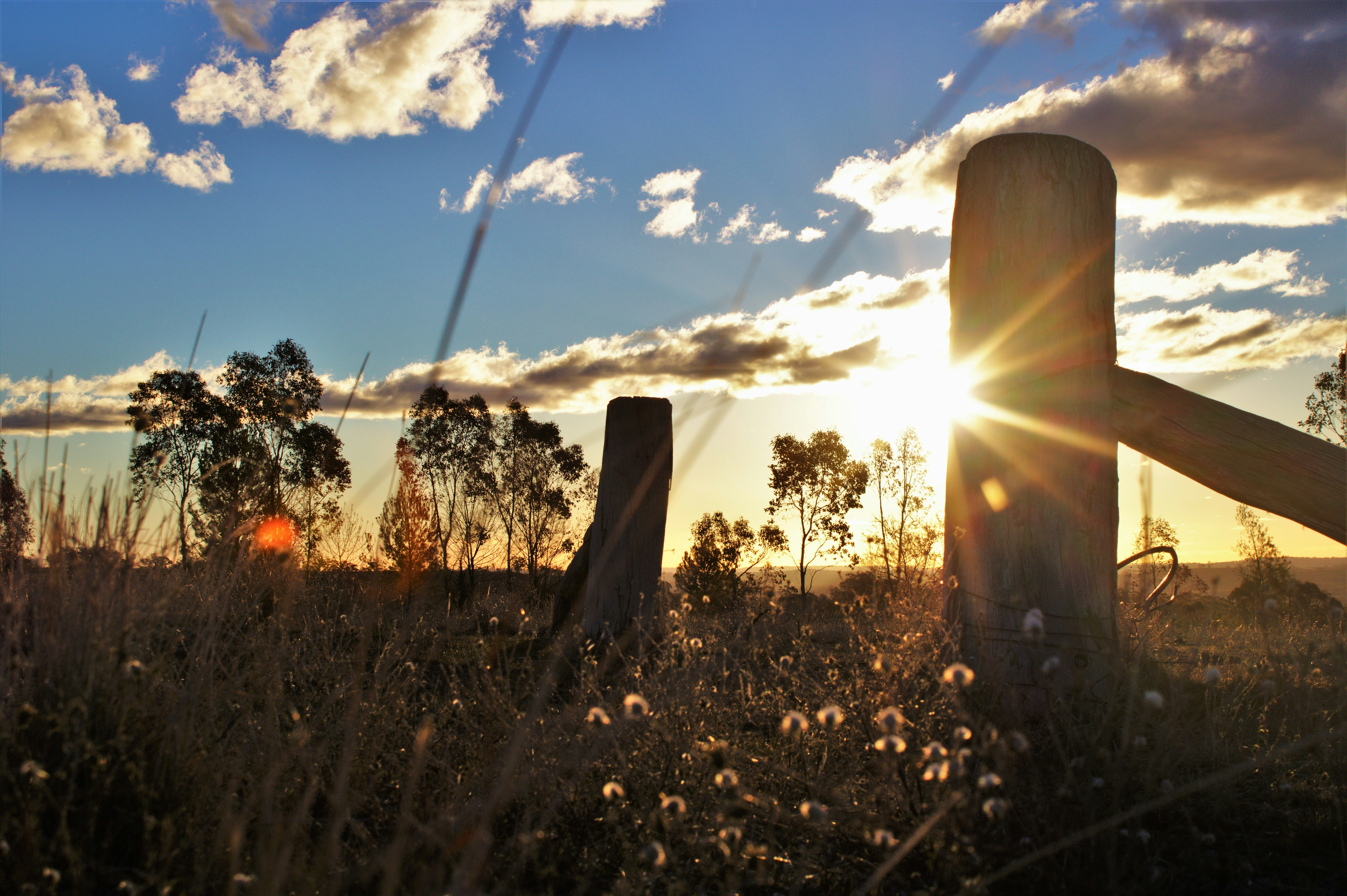 RoboCalls header image