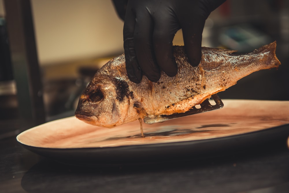 brown dried fish