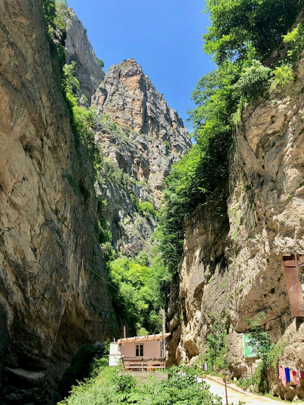 brown wooden house near mountains