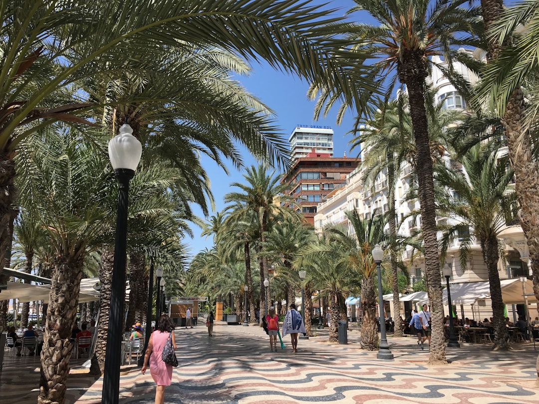 Town photo spot Passeig Esplanada d'Espanya Torrevieja