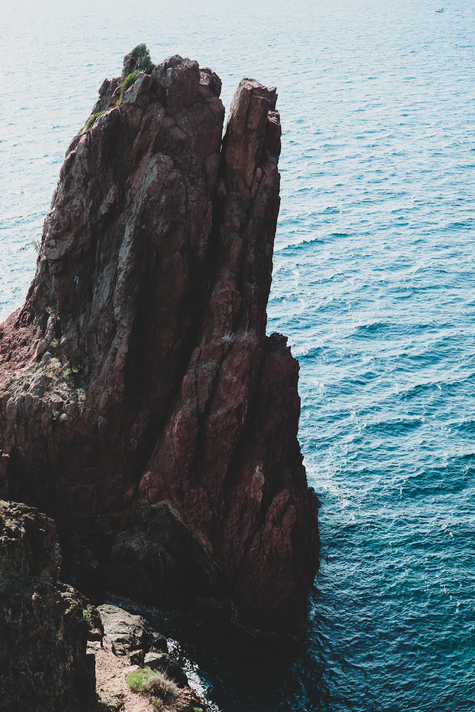 The image depicts a rocky cliff overlooking the ocean, with the deep blue water contrasting against the rugged terrain. The cliff is composed of large rocks and boulders, adding to its dramatic appearance. In the foreground, there are small plants growing on the cliff's surface, hinting at the presence of marine life in the surrounding waters.