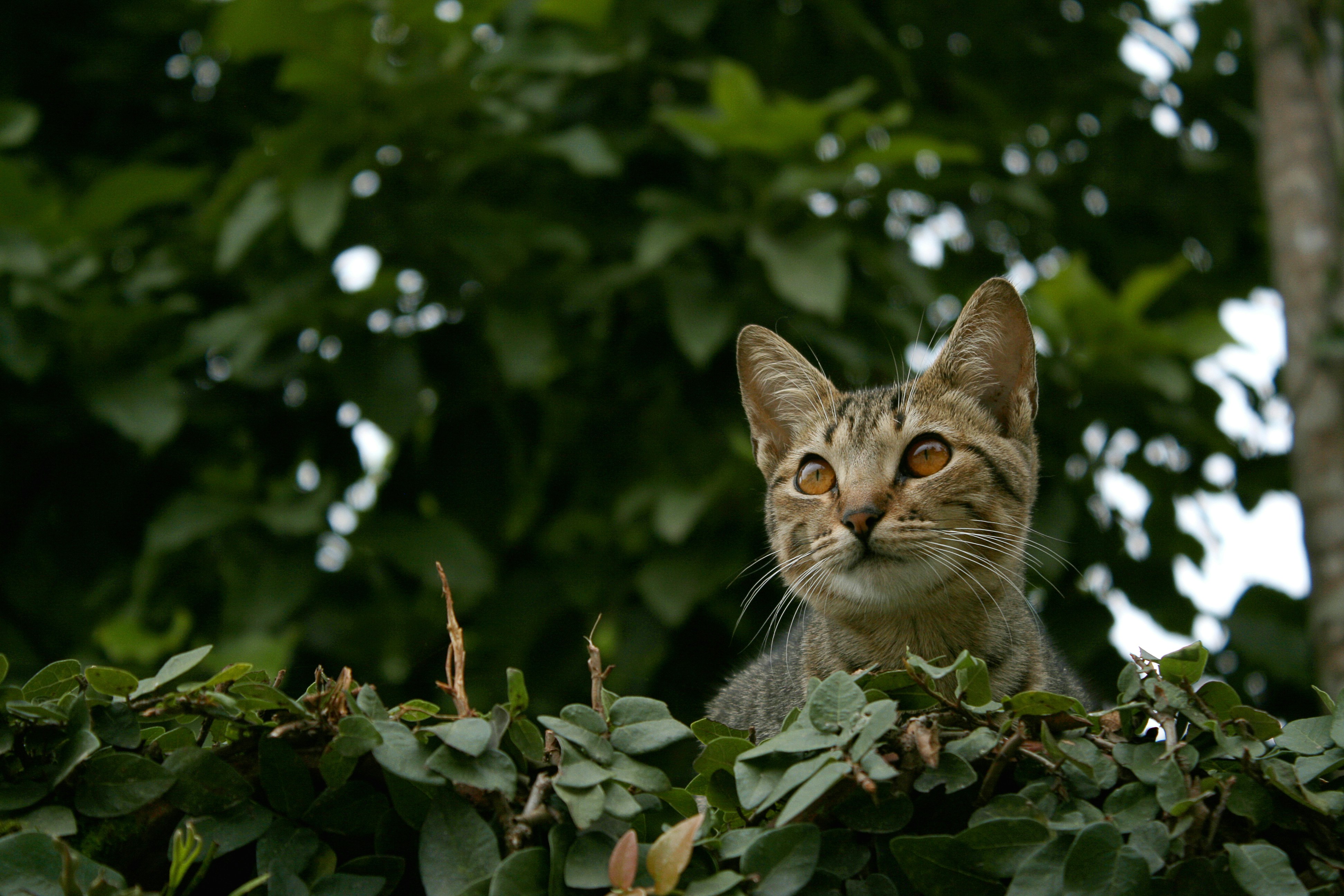 Photo by clarissevgomes