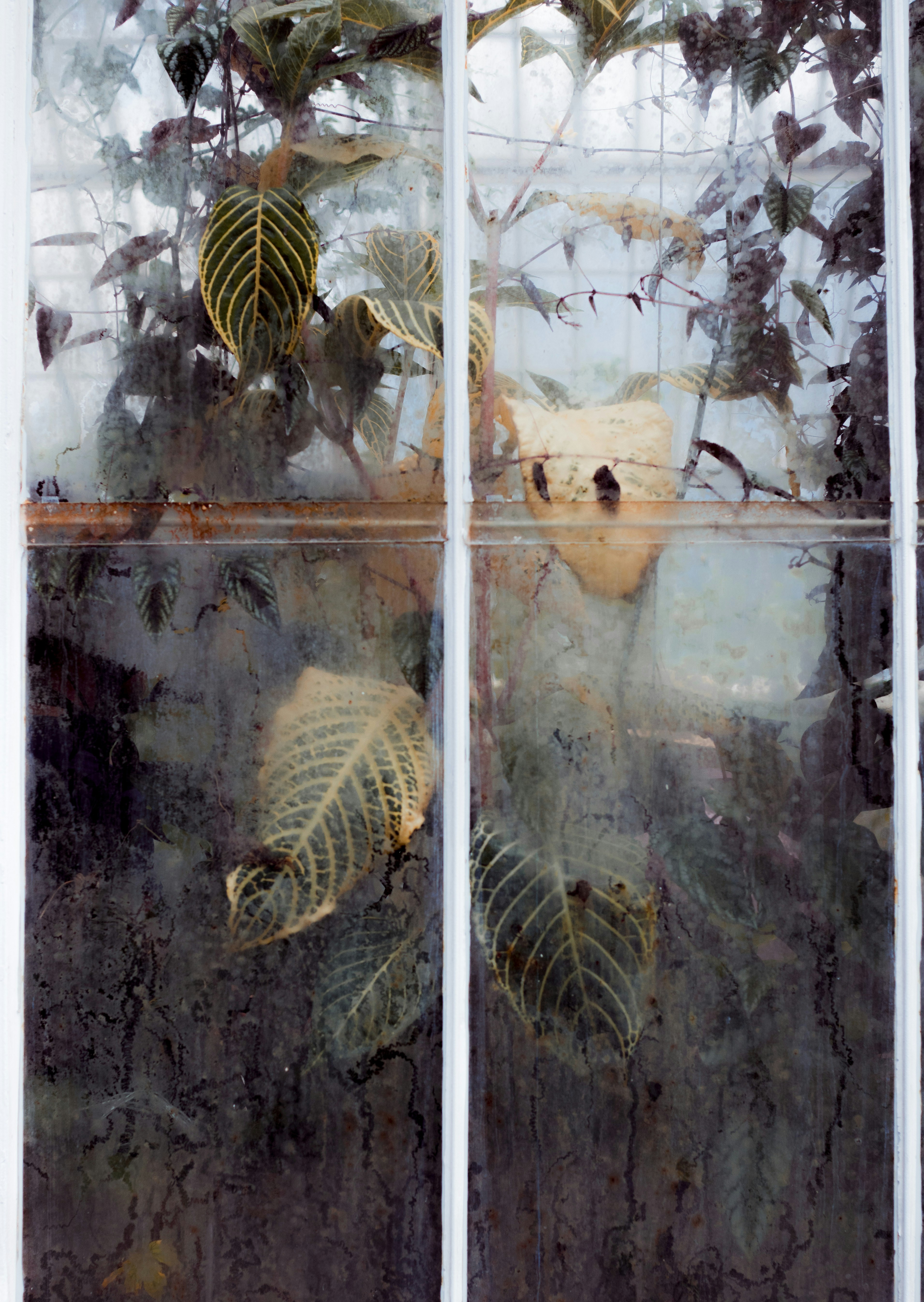 Photo by edwardhowellphotography