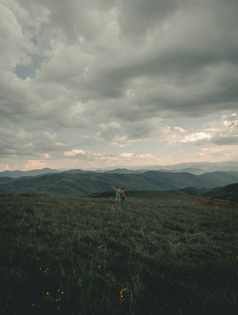 people standing on grass field