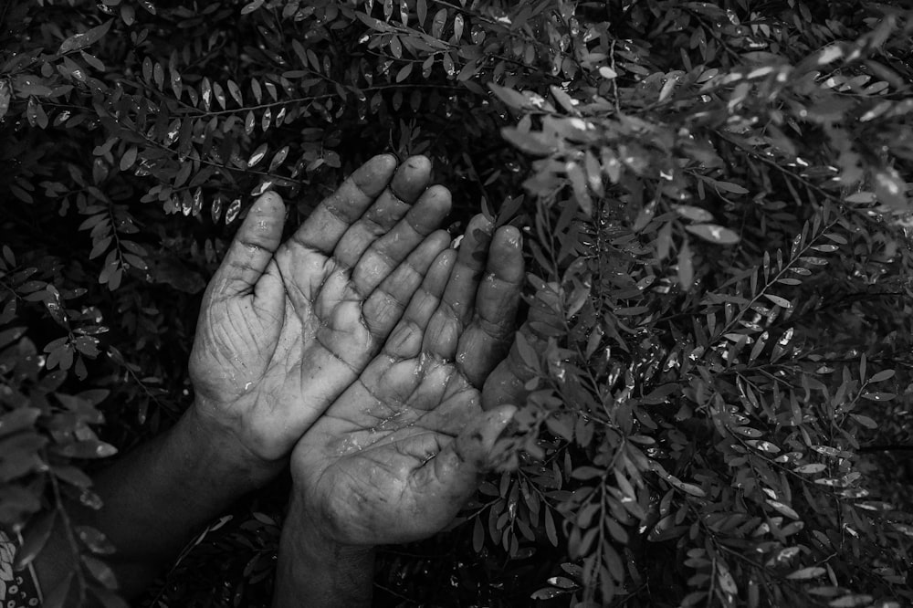 greyscale photo of hand