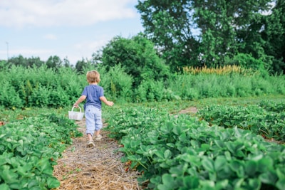 A child holding a basket of fresh organic fruits and vegetables outdoors.