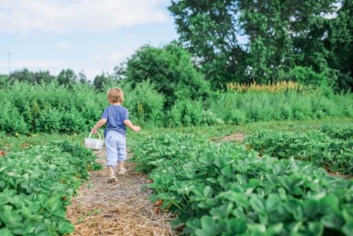 toddler carrying white basket