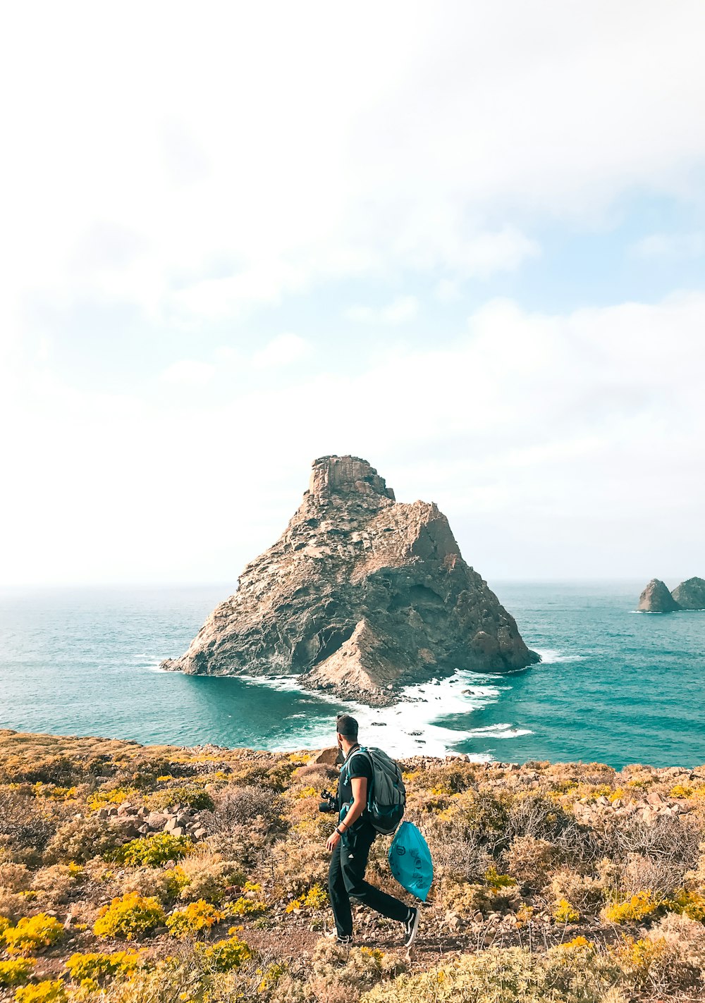 man walking on flower field near coast