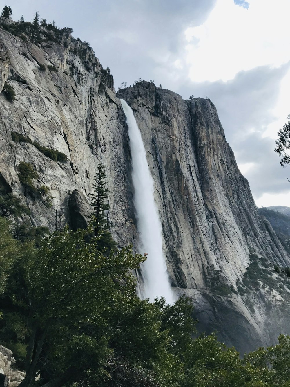 waterfall in forest