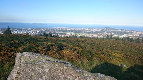 A scenic view of the city where the service operates.