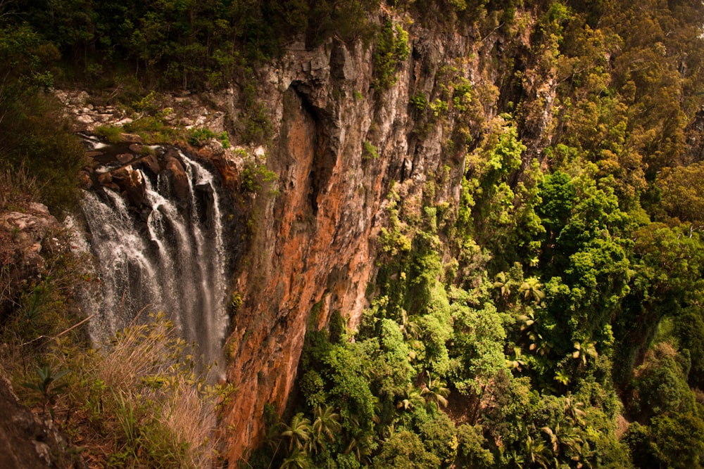 green-leafed trees at the side of the waterfalls