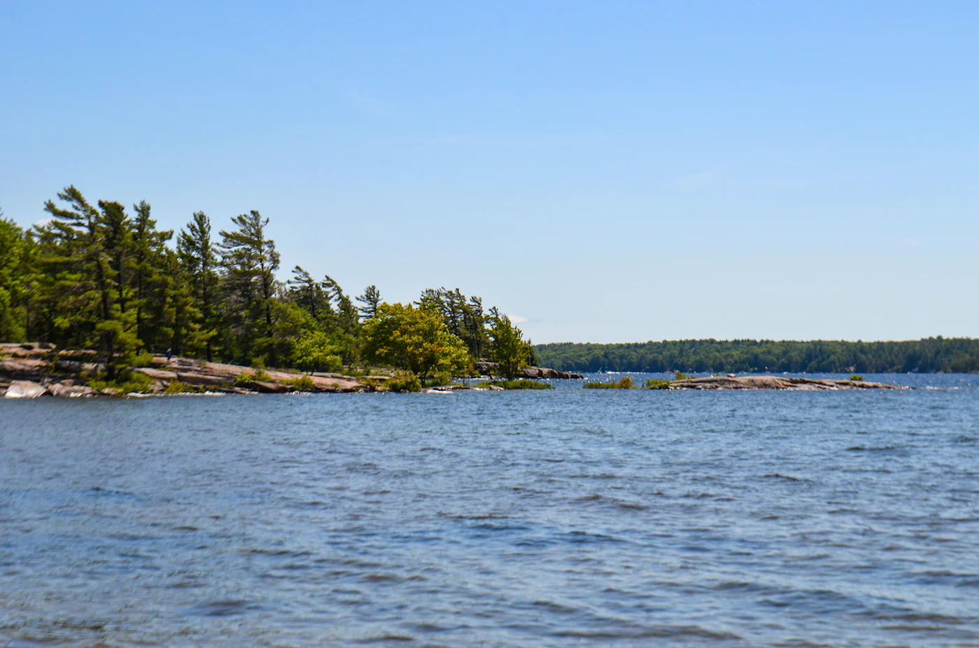 Calm lake shoreline with pine trees at Killbear Provincial Park, Ontario