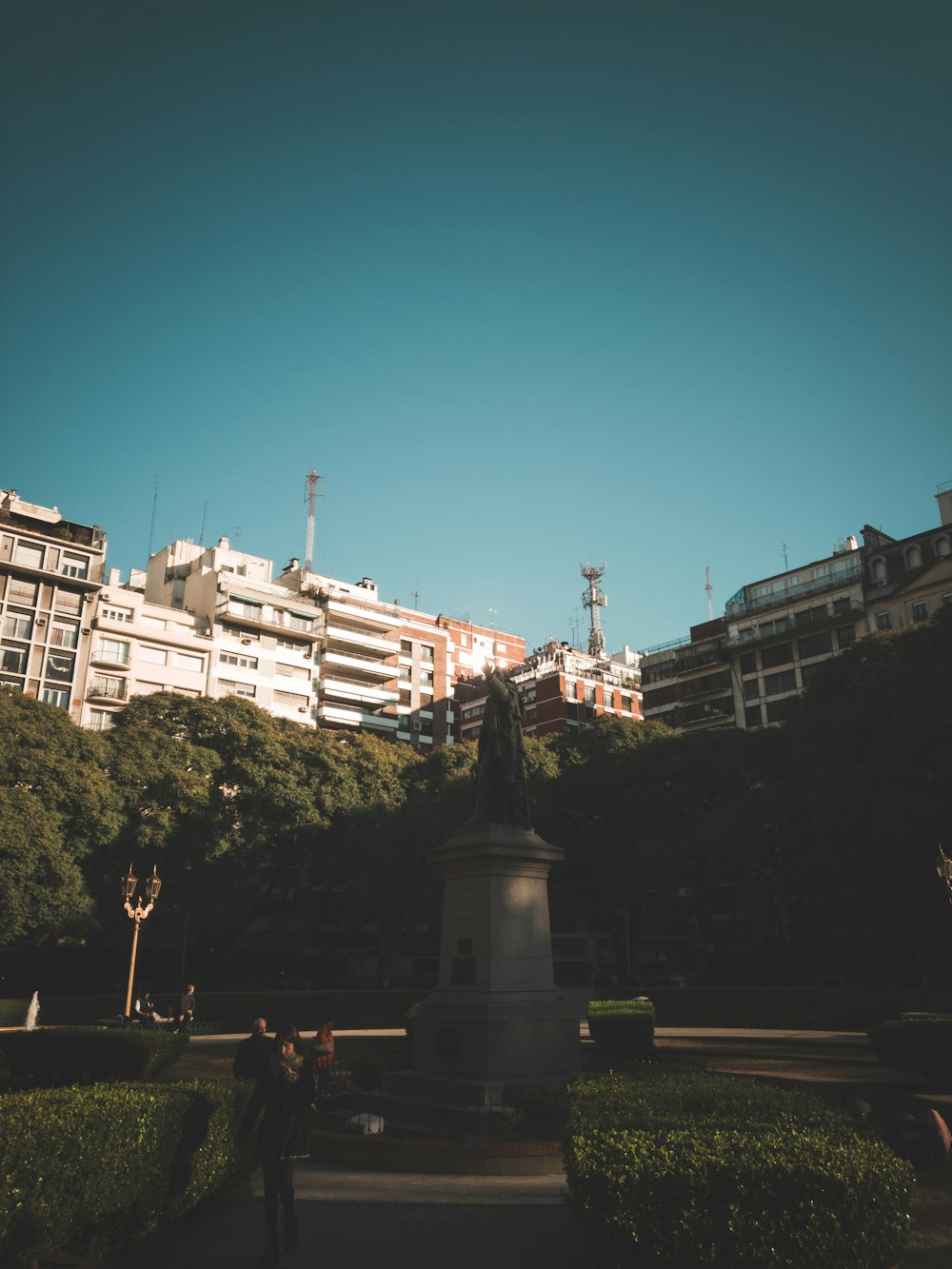 trees beside concrete buildings