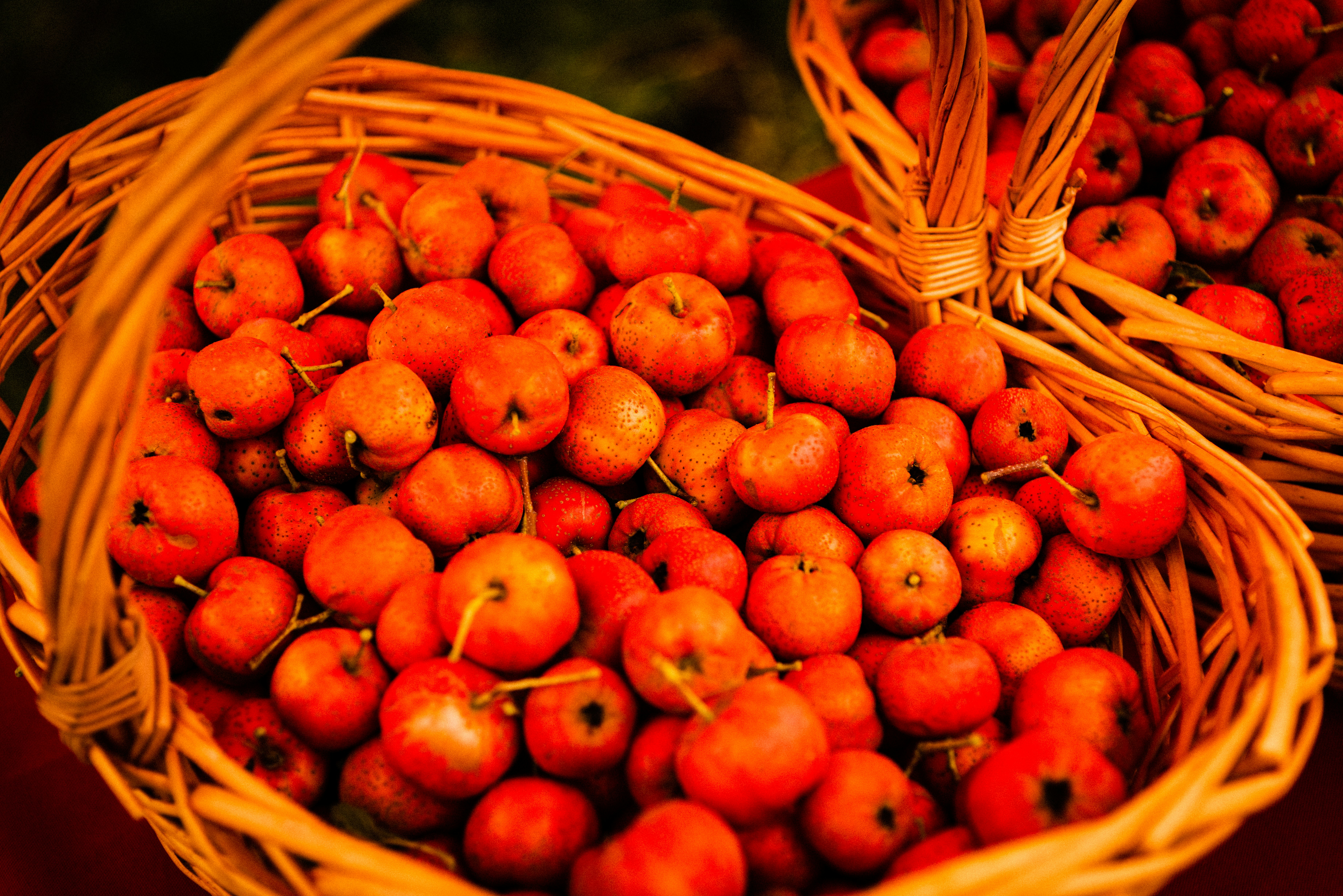Fresh dates in basket