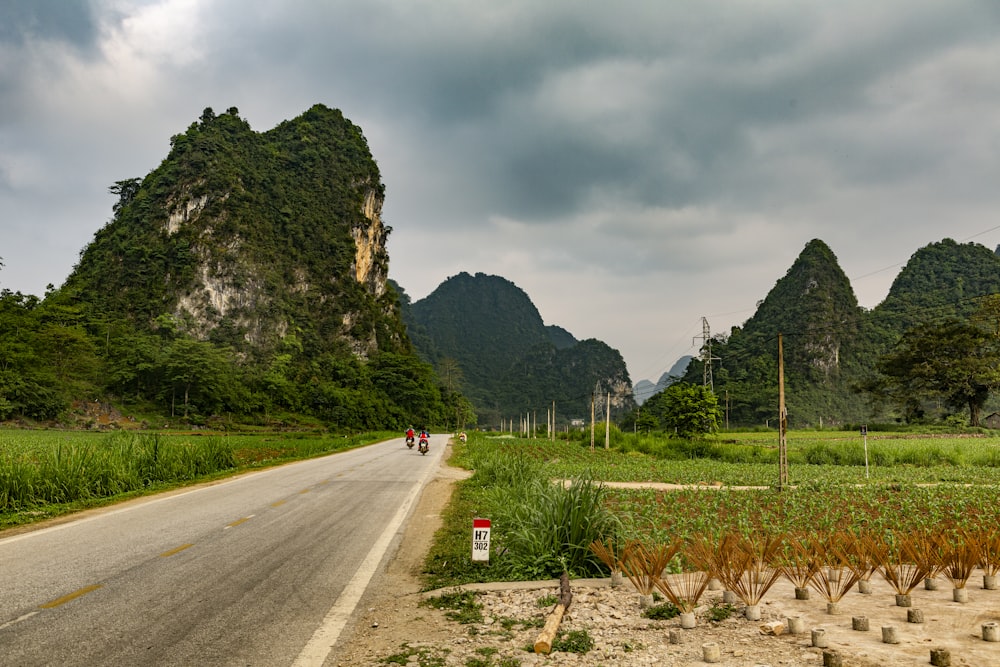 road in desert