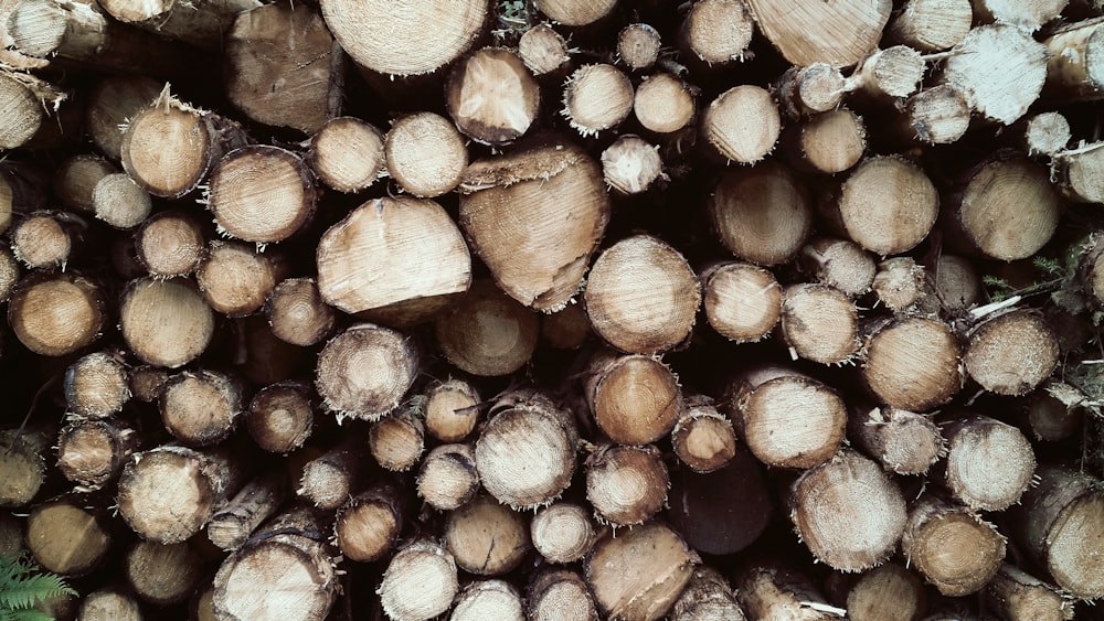 pile of logs