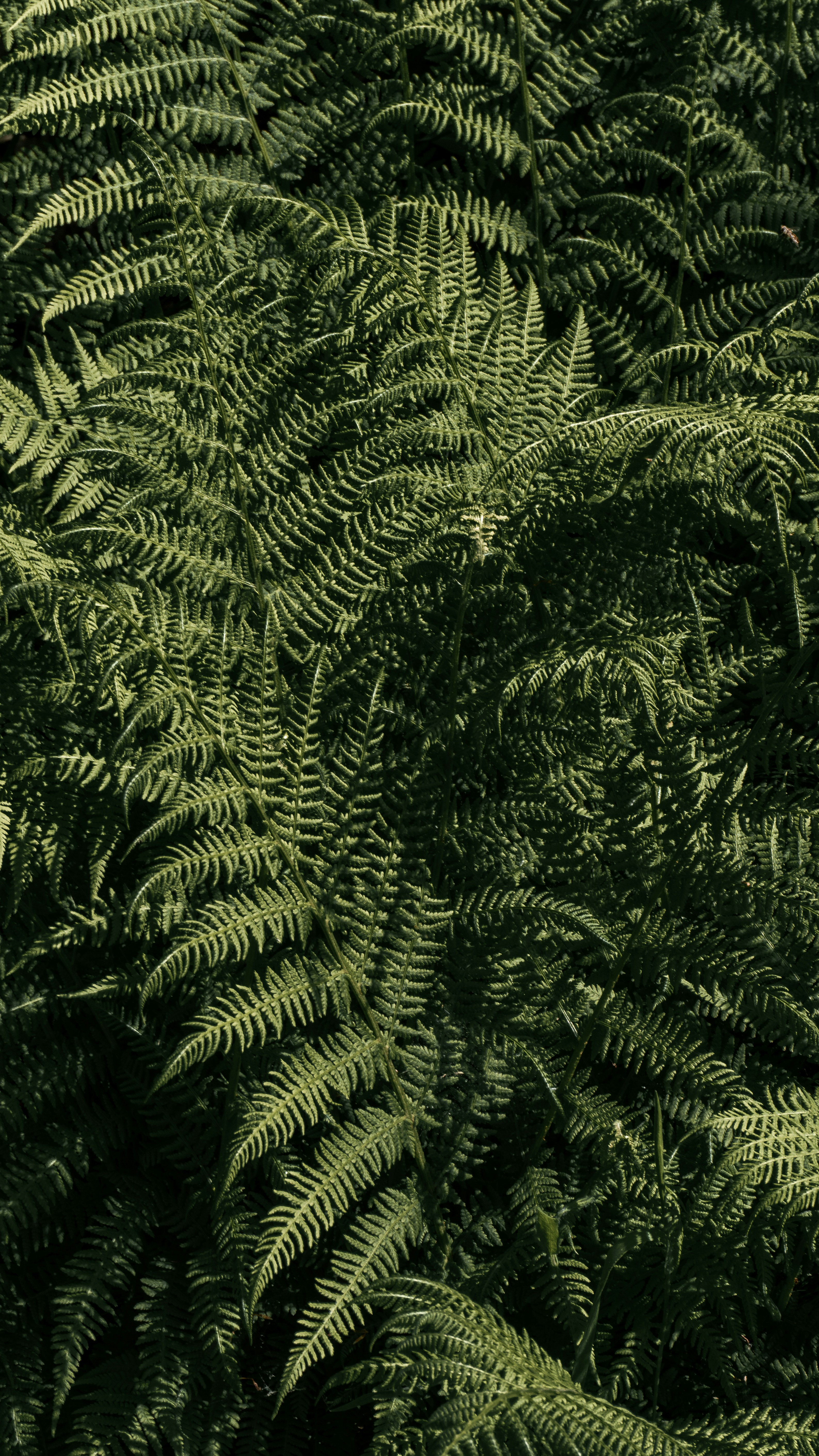 Photo by justusmenke