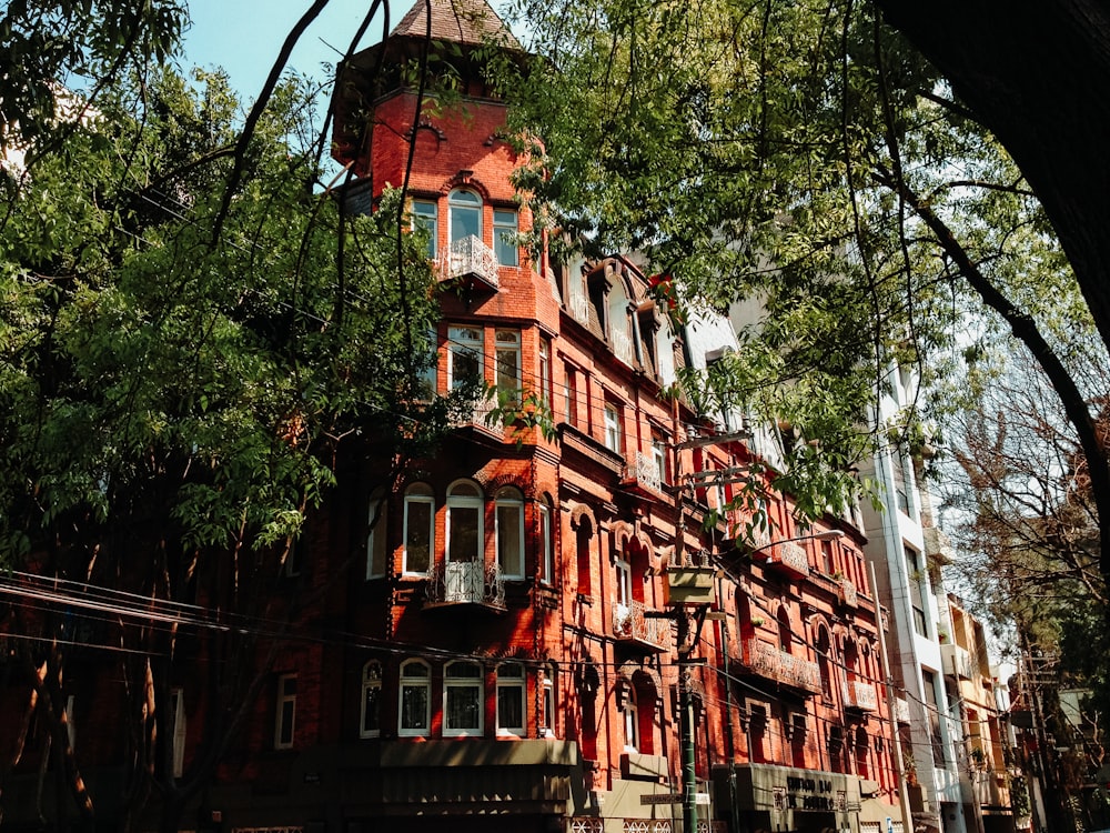 green trees beside red building