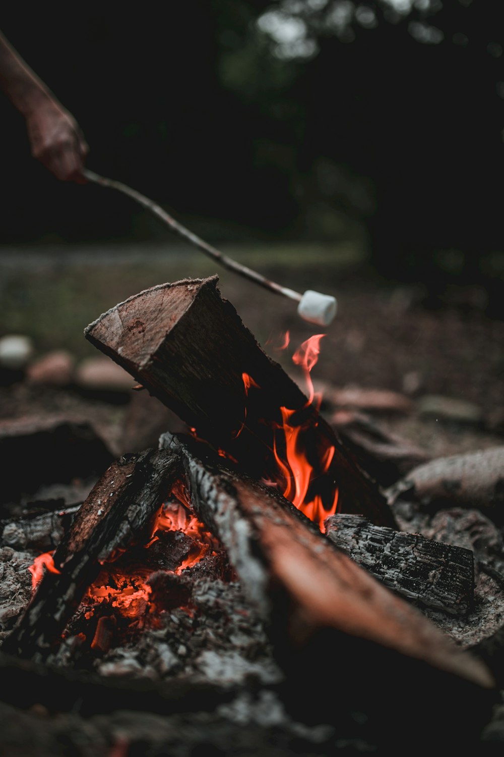 person putting marshmallow on firepit