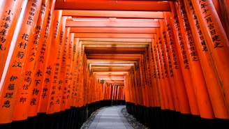 a long line of orange tori tori tori tori tori tori tori tori tori tori tori