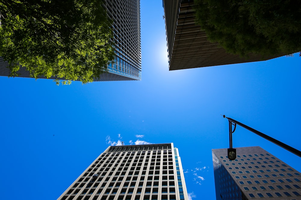 low-angle photography of gray high-rise buildings