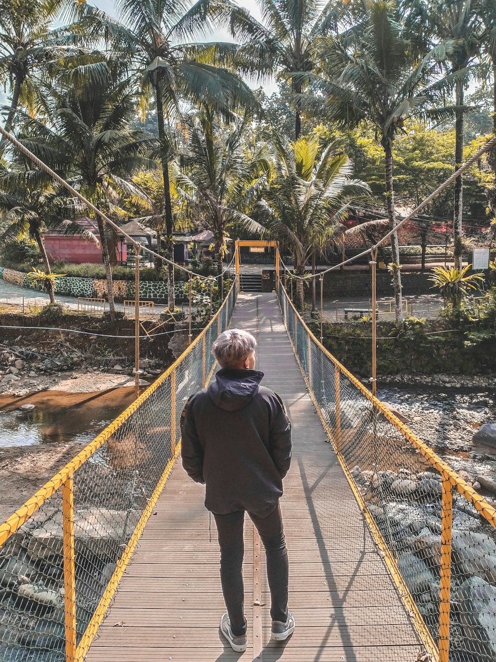 man standing on bridge near coconut palms