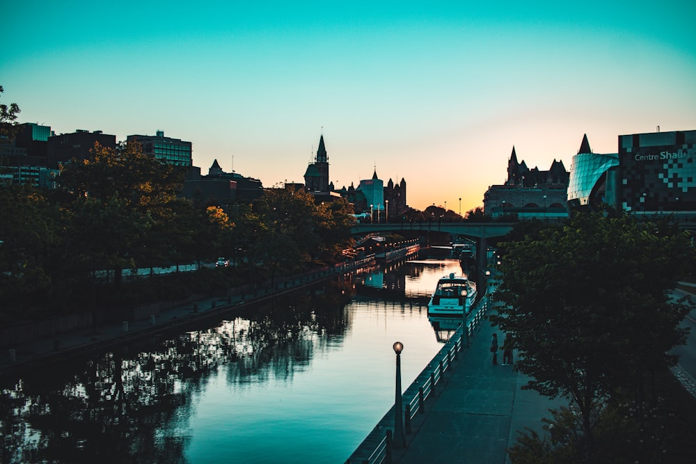 city with high-rise buildings viewing lake at golden hour