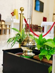 A brass incense holder hangs on a chain above a planter with lush green leaves. The planter is placed on a marble floor and surrounded by a gold post with a red rope. In the background, there is a white altar decorated with candles and a large yellow vase, alongside dark chairs against a light wall and a mounted flat screen.