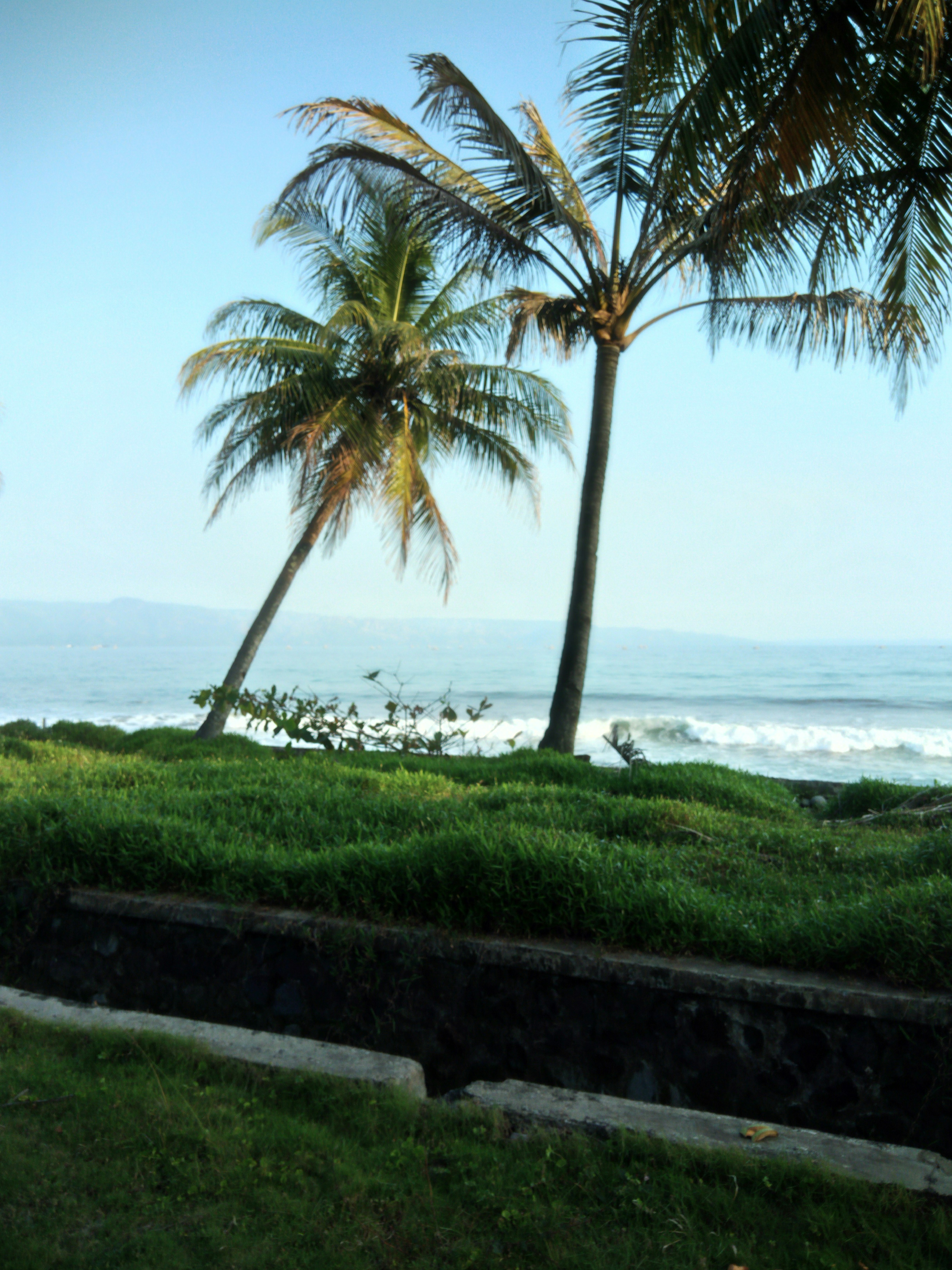 Photo by bill_the_kid