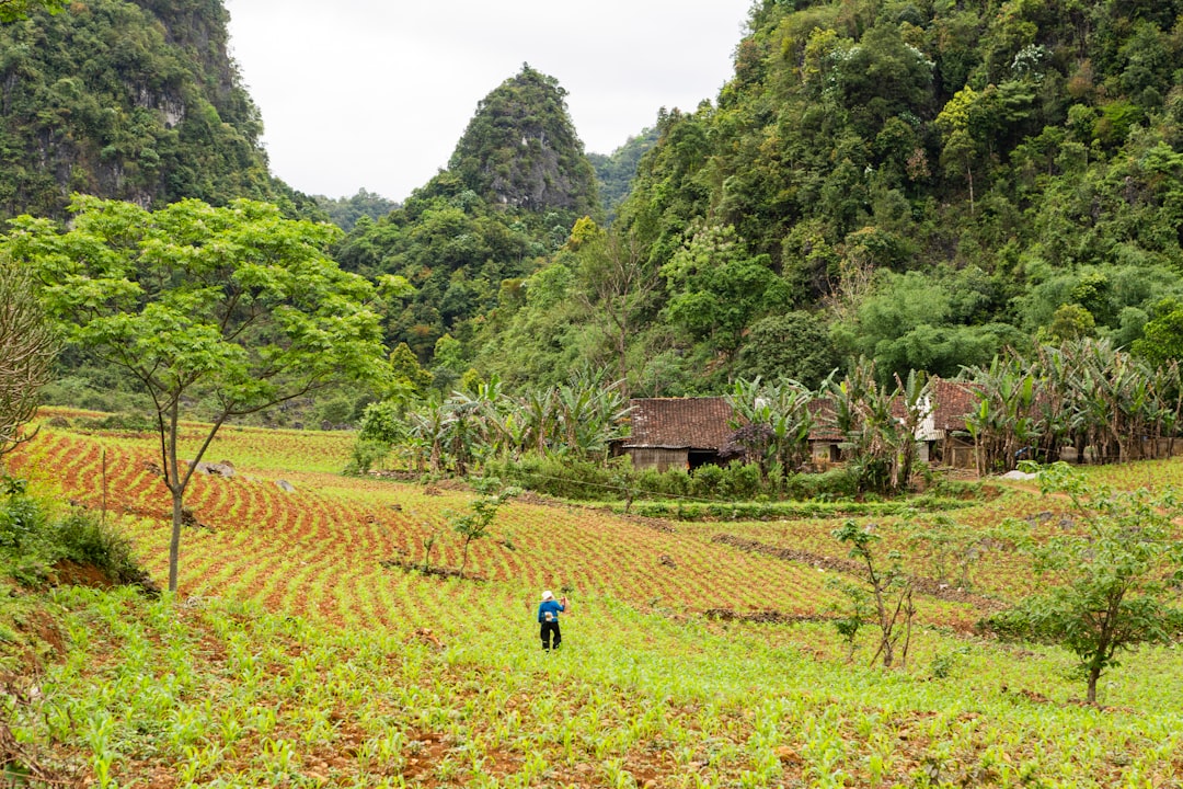 travelers stories about Hill station in ĐT210, Vietnam