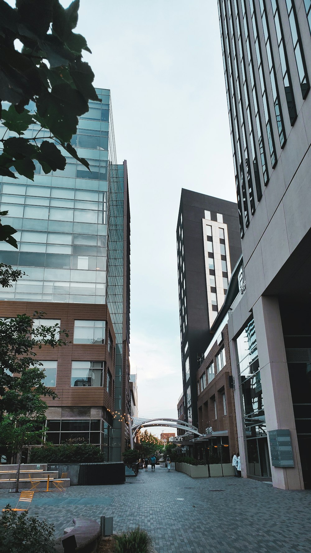 Edificios de gran altura con paredes de vidrio transparente